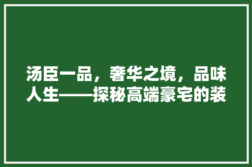 汤臣一品，奢华之境，品味人生——探秘高端豪宅的装修艺术