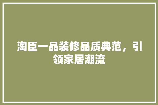 淘臣一品装修品质典范，引领家居潮流