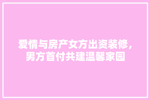 爱情与房产女方出资装修，男方首付共建温馨家园 施工管理
