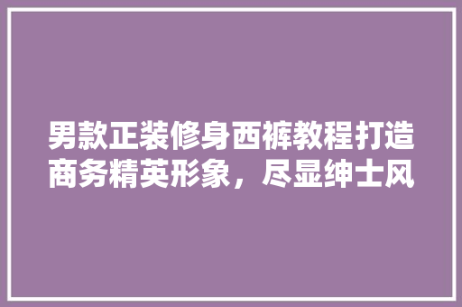 男款正装修身西裤教程打造商务精英形象，尽显绅士风采