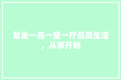 紫金一品一室一厅品质生活，从家开始