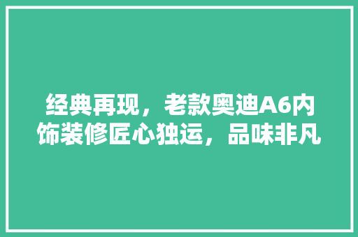 经典再现，老款奥迪A6内饰装修匠心独运，品味非凡