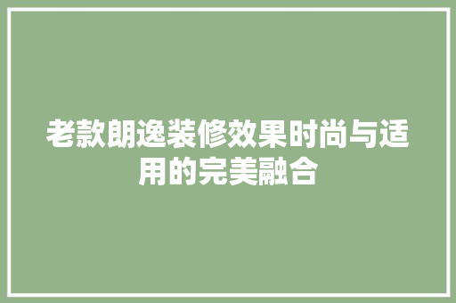 老款朗逸装修效果时尚与适用的完美融合