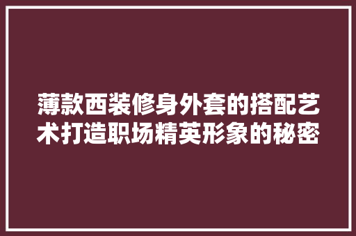 薄款西装修身外套的搭配艺术打造职场精英形象的秘密武器