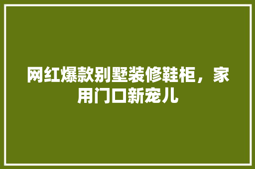 网红爆款别墅装修鞋柜，家用门口新宠儿