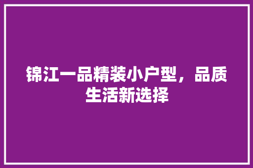 锦江一品精装小户型，品质生活新选择