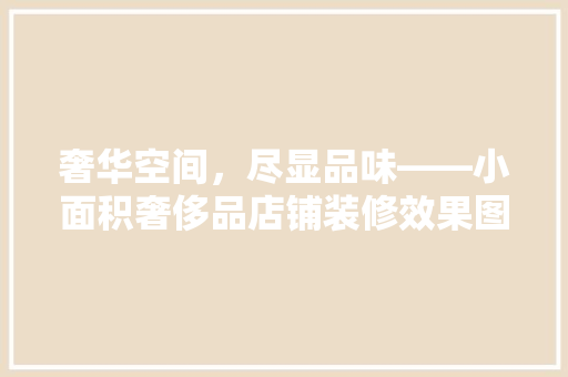 奢华空间，尽显品味——小面积奢侈品店铺装修效果图