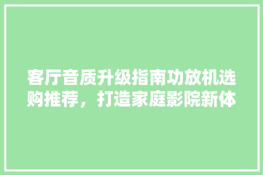 客厅音质升级指南功放机选购推荐，打造家庭影院新体验
