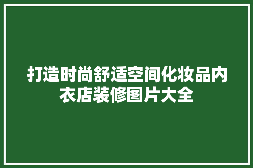 打造时尚舒适空间化妆品内衣店装修图片大全