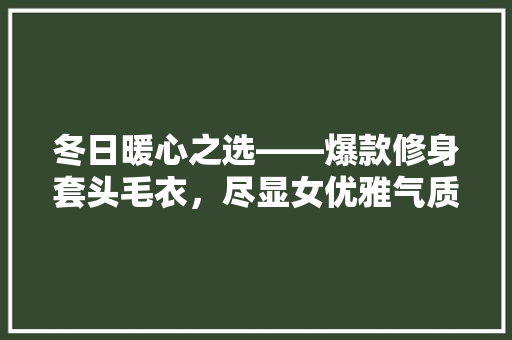 冬日暖心之选——爆款修身套头毛衣，尽显女优雅气质 新型材料