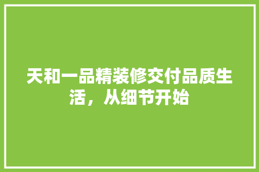 天和一品精装修交付品质生活，从细节开始