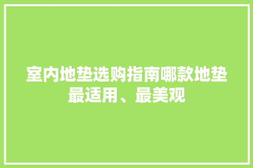 室内地垫选购指南哪款地垫最适用、最美观