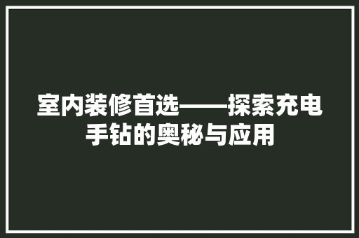 室内装修首选——探索充电手钻的奥秘与应用
