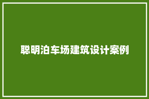 聪明泊车场建筑设计案例