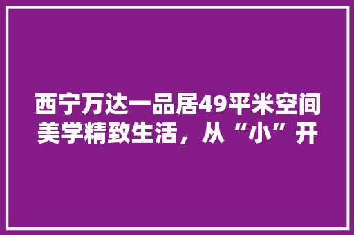西宁万达一品居49平米空间美学精致生活，从“小”开始