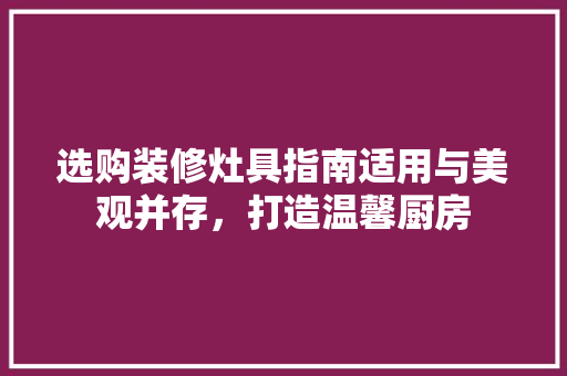 选购装修灶具指南适用与美观并存，打造温馨厨房