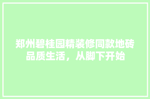 郑州碧桂园精装修同款地砖品质生活，从脚下开始