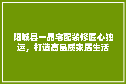 阳城县一品宅配装修匠心独运，打造高品质家居生活
