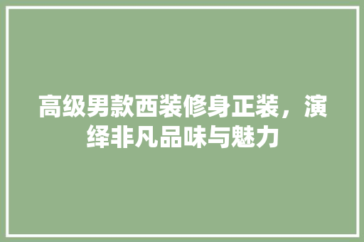 高级男款西装修身正装，演绎非凡品味与魅力