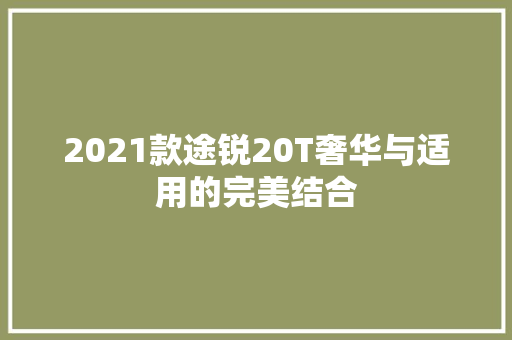 2021款途锐20T奢华与适用的完美结合