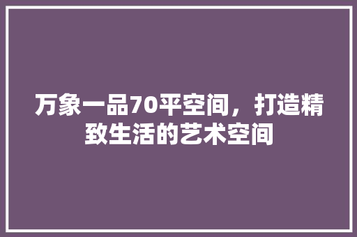 万象一品70平空间，打造精致生活的艺术空间