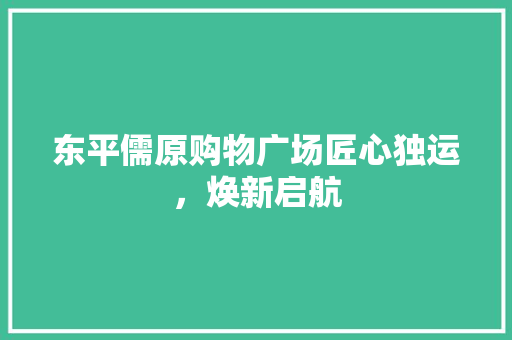 东平儒原购物广场匠心独运，焕新启航 材料设备