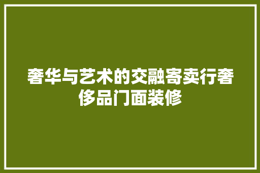 奢华与艺术的交融寄卖行奢侈品门面装修