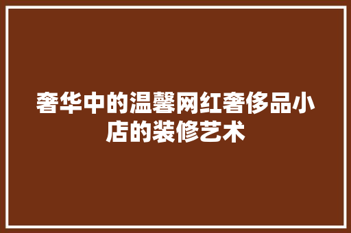 奢华中的温馨网红奢侈品小店的装修艺术