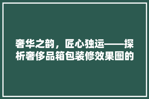 奢华之韵，匠心独运——探析奢侈品箱包装修效果图的艺术魅力
