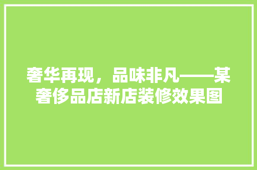 奢华再现，品味非凡——某奢侈品店新店装修效果图
