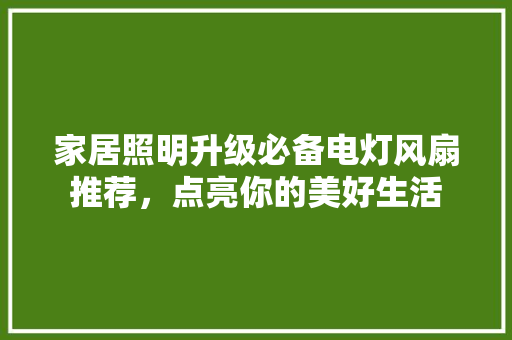 家居照明升级必备电灯风扇推荐，点亮你的美好生活