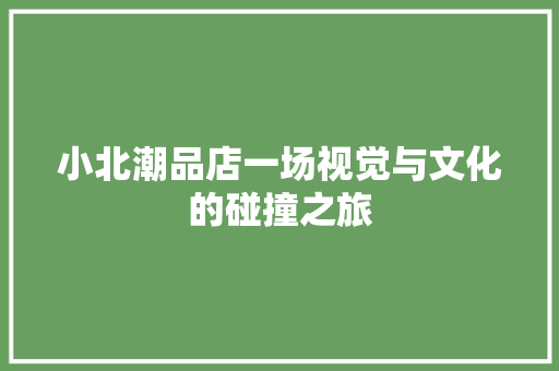 小北潮品店一场视觉与文化的碰撞之旅