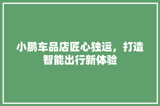 小鹏车品店匠心独运，打造智能出行新体验