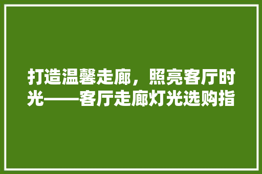 打造温馨走廊，照亮客厅时光——客厅走廊灯光选购指南