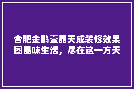 合肥金鹏壹品天成装修效果图品味生活，尽在这一方天地