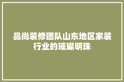 品尚装修团队山东地区家装行业的璀璨明珠 材料设备