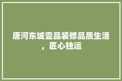 唐河东城壹品装修品质生活，匠心独运