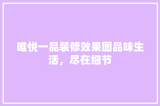 唯悦一品装修效果图品味生活，尽在细节