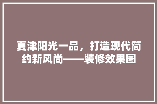 夏津阳光一品，打造现代简约新风尚——装修效果图