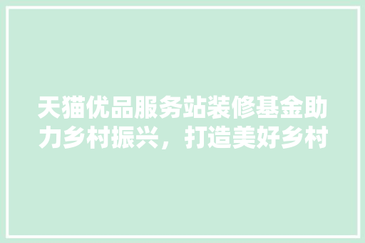 天猫优品服务站装修基金助力乡村振兴，打造美好乡村新面貌