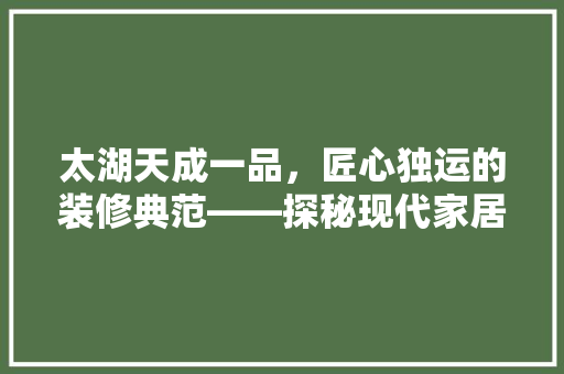 太湖天成一品，匠心独运的装修典范——探秘现代家居美学新篇章