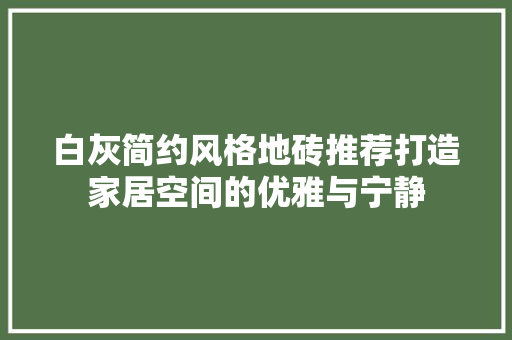 白灰简约风格地砖推荐打造家居空间的优雅与宁静 施工管理