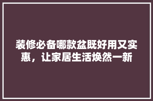 装修必备哪款盆既好用又实惠，让家居生活焕然一新