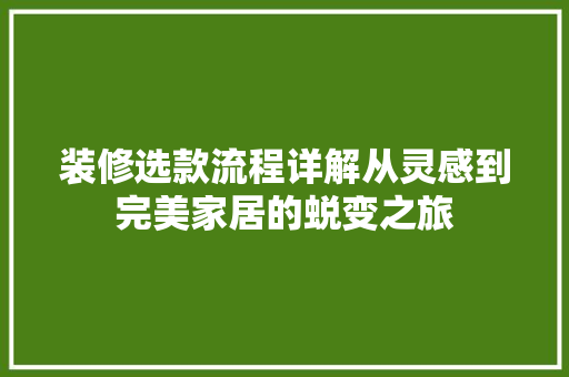 装修选款流程详解从灵感到完美家居的蜕变之旅
