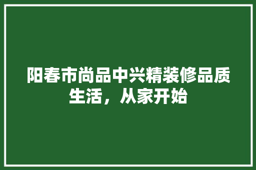 阳春市尚品中兴精装修品质生活，从家开始 工艺流程