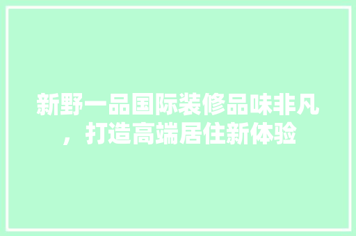 新野一品国际装修品味非凡，打造高端居住新体验