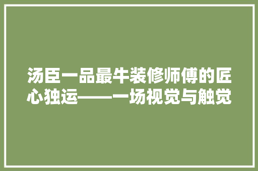 汤臣一品最牛装修师傅的匠心独运——一场视觉与触觉的盛宴 建筑设计