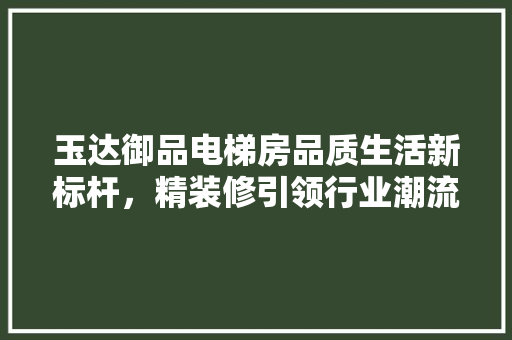 玉达御品电梯房品质生活新标杆，精装修引领行业潮流