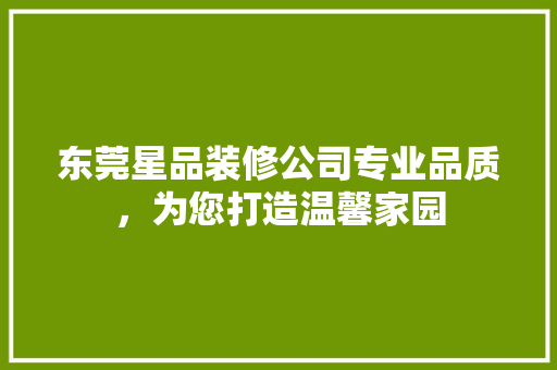 东莞星品装修公司专业品质，为您打造温馨家园