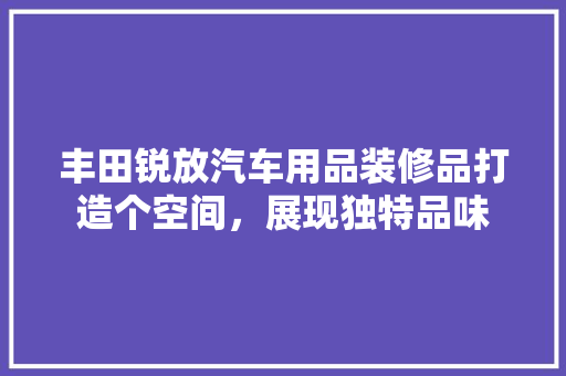 丰田锐放汽车用品装修品打造个空间，展现独特品味